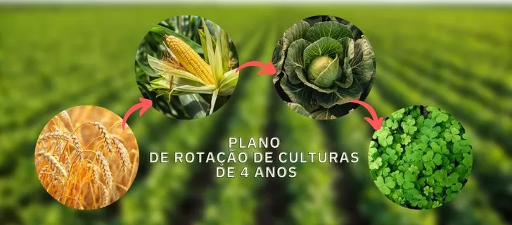 GRUPO Cabeto Agricultura